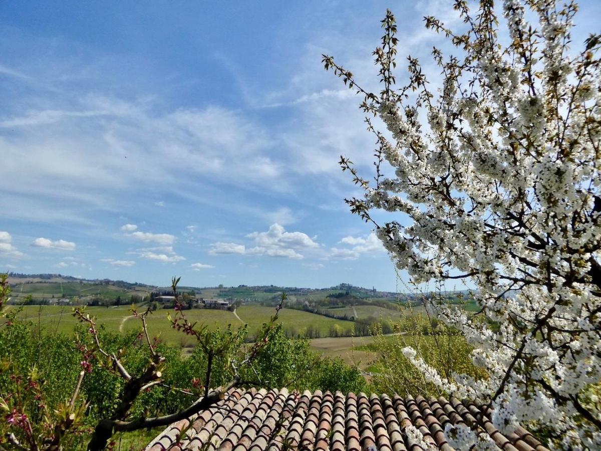 Agriturismo Bottega Di Rosanna 카스타뇰레 란제 외부 사진